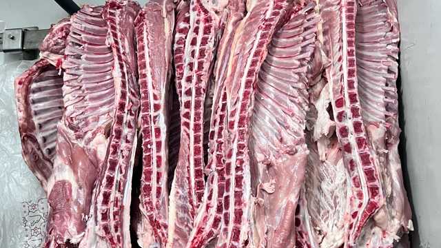 Ayudante/a de Cocina