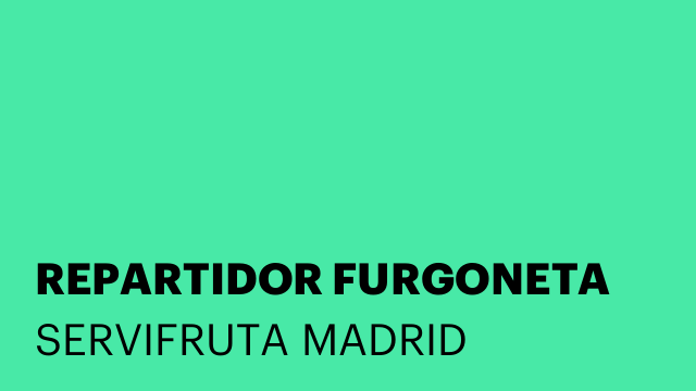 REPARTIDOR FURGONETA