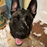 Phaedra  avatar icon