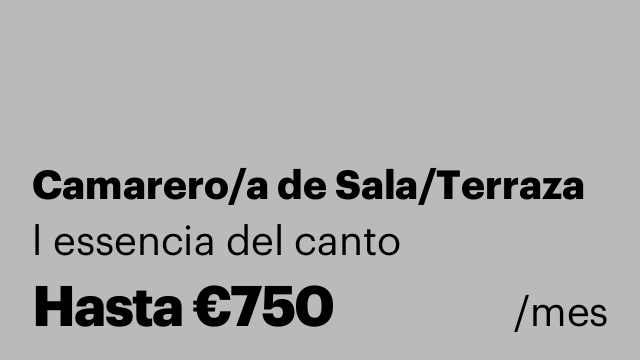Camarero/a de Sala/Terraza
