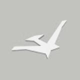 PTERODACTYLUS M. avatar icon