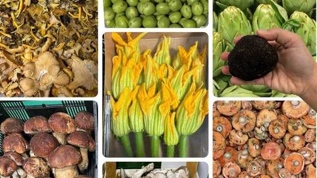 Cocinero/a y Ayudante/a de Cocina