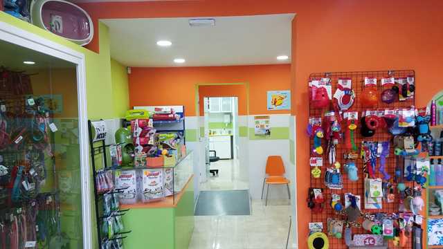 Veterinario/a