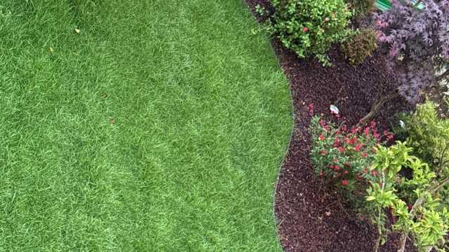 Empleada/o del hogar