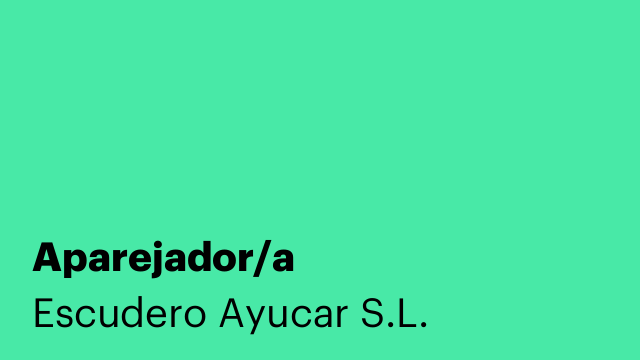 Aparejador/a
