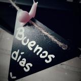 Maria M. avatar icon