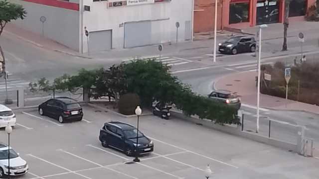 Mecánico/a