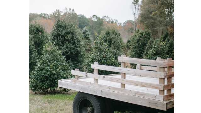 Operario/a de almacén – Campaña de Navidad