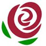 Floristería S. avatar icon