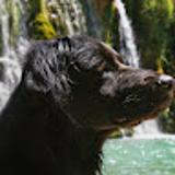 Raquel D. avatar icon