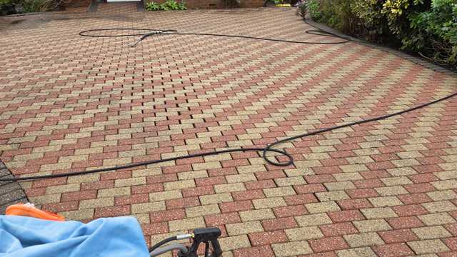 Domestic Cleaner