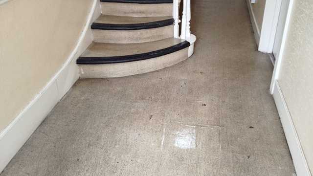 Experienced cleaner required for East London area. 13.00 per hour.