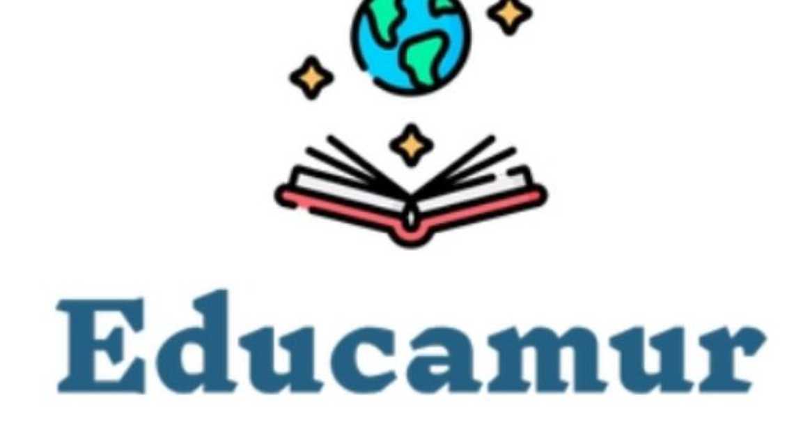 Educamur cover image