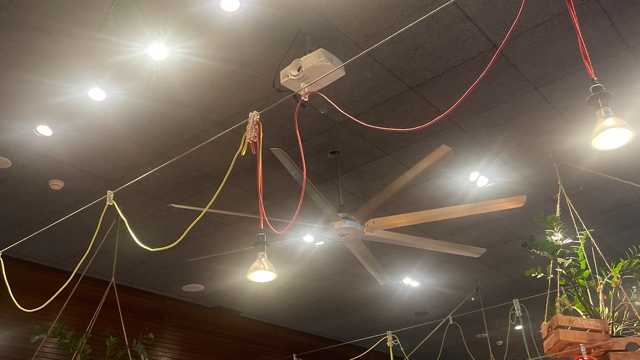 Ayudante/a de Cocina