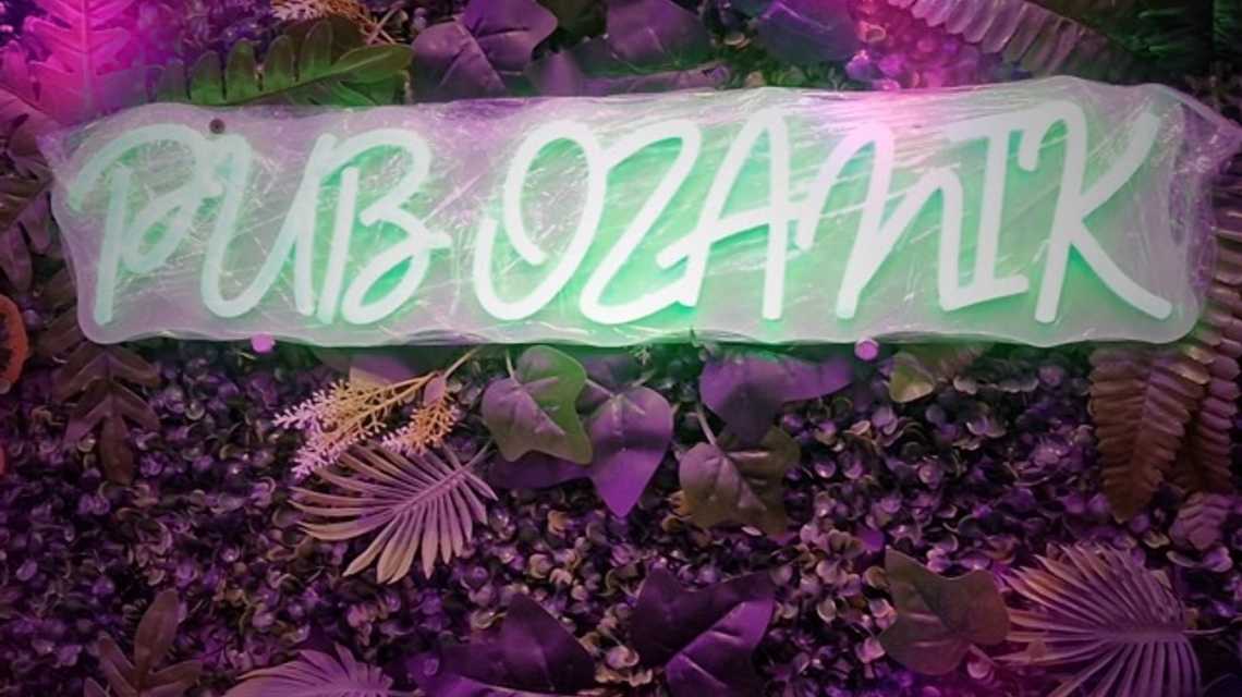 pub ozanik cover image