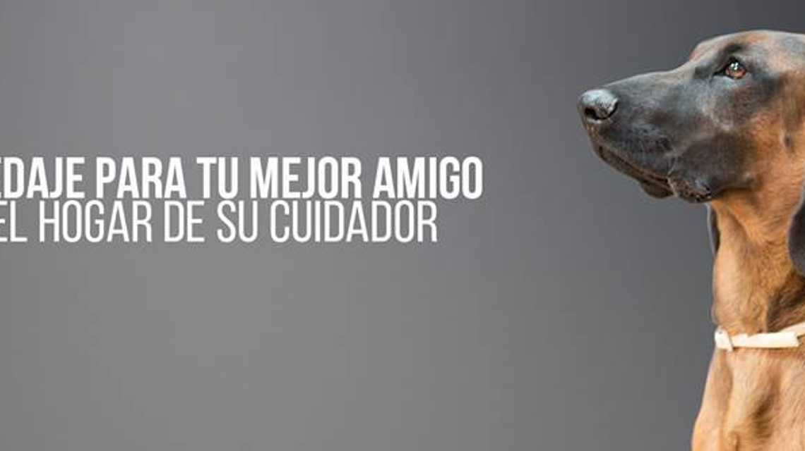 El Perro Feliz Madrid Sur cover image