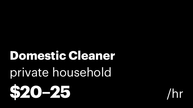 Domestic Cleaner