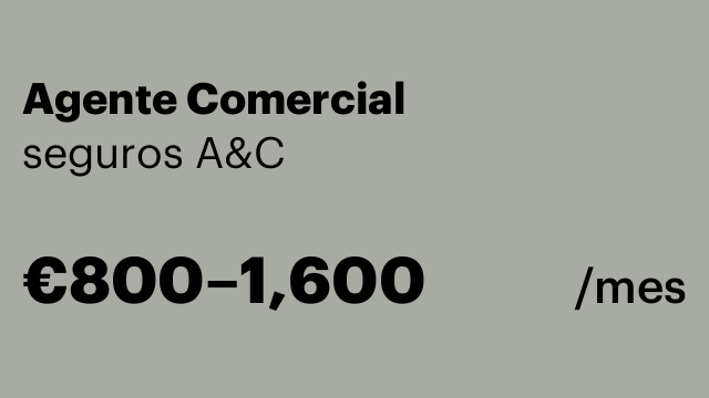 Agente Comercial