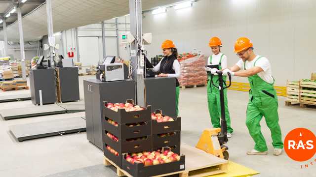 ENCAJADOR/A SECTOR HORTOFRUTÍCOLA