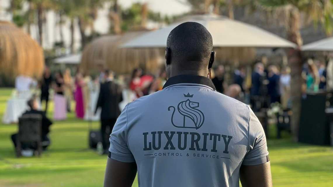 LUXURITY cover image