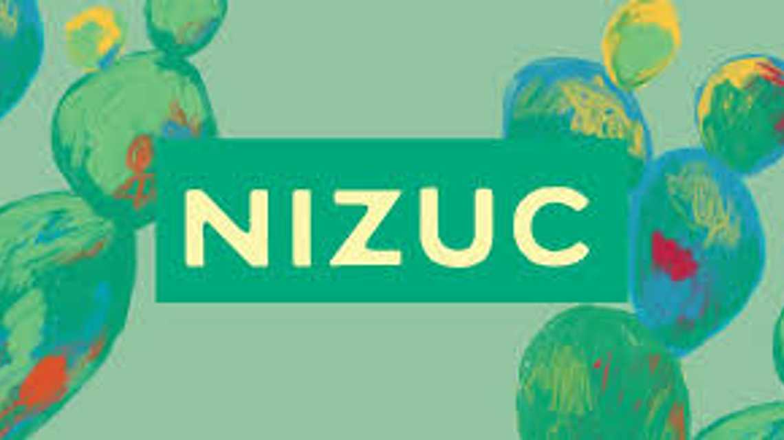 Nizuc cover image