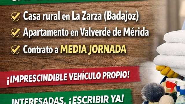 Limpiador/a