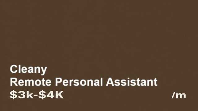 Personal Assistant (PA)
