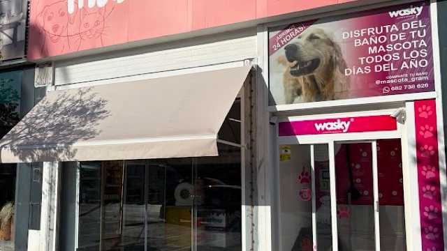 Dependiente/a de Tienda