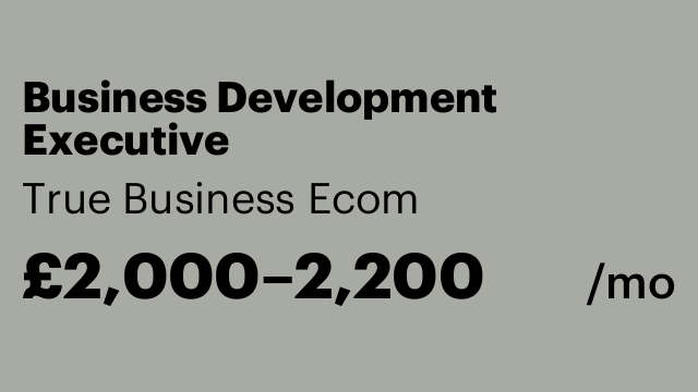 Business Development Executive