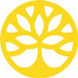 Optometría Lys avatar icon