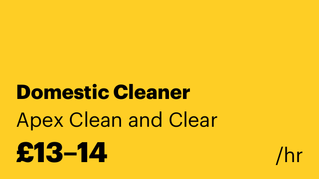 Domestic Cleaner