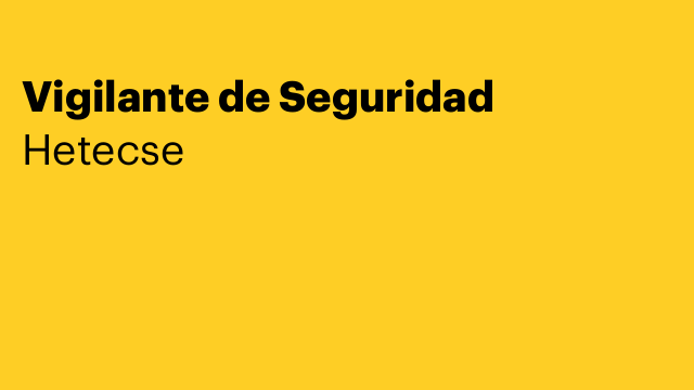 Vigilante de Seguridad
