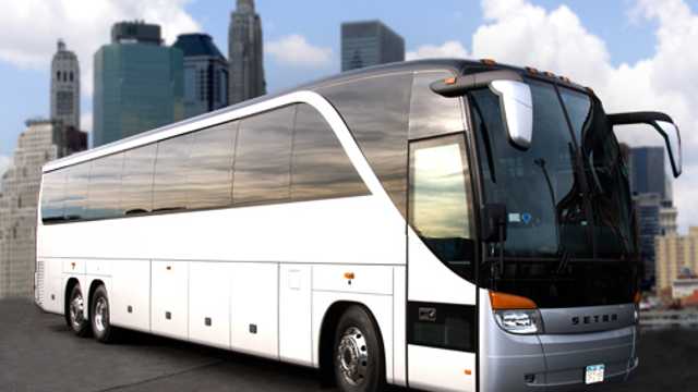 Professional TLC & CDL Drivers