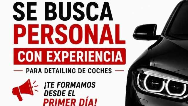 DETAILING COCHES