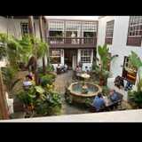 Jelena T. avatar icon