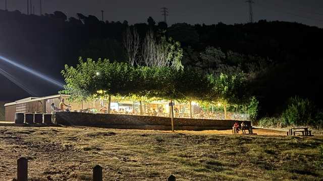 Coctelero/a Camarero