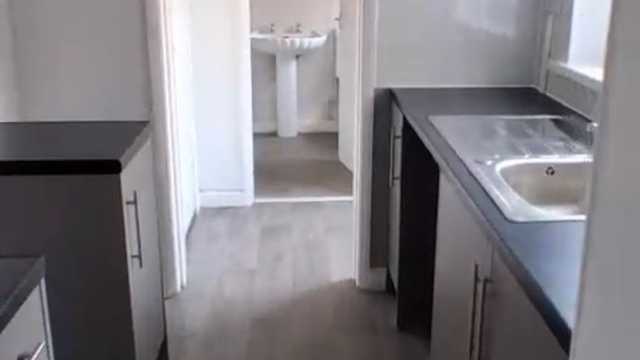 Domestic Cleaner