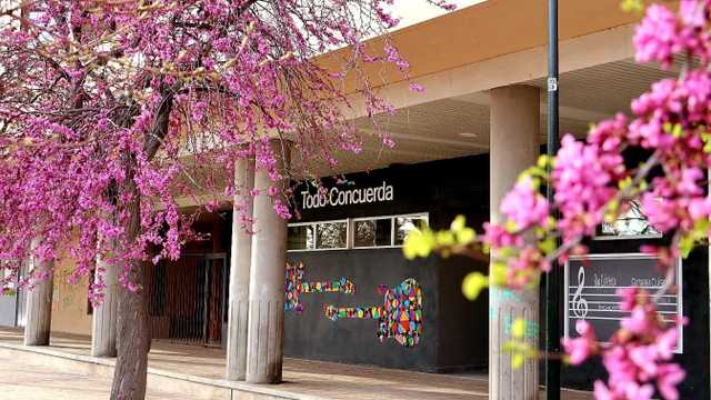 Profesor/a de Guitarra clásica