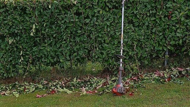 Peon de jardinero