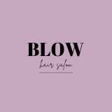 Blow logo