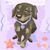 Noelia M. avatar icon