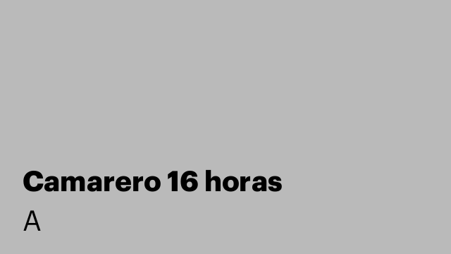 Camarero 16 horas