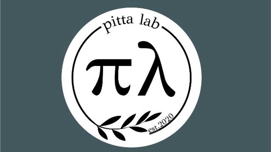 Pitta Lab cover image