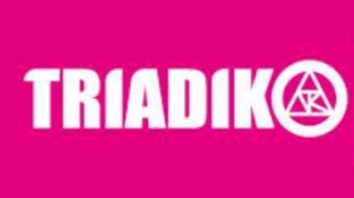 TRIADIKO SL cover image