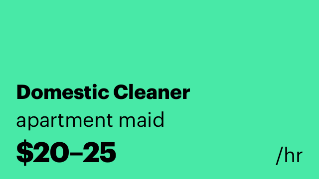 Domestic Cleaner