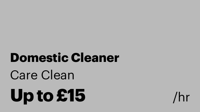 Domestic Cleaner