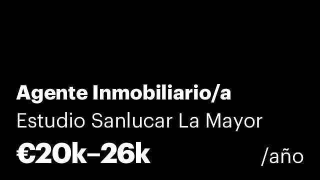 Agente Inmobiliario/a