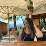 Laís R. avatar icon