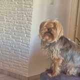 Jose Luis L. avatar icon