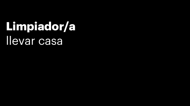 Limpiador/a